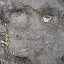 상예동-10 이미지