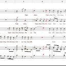 Haydn missa brevis no 7 in b flat (4.Sanctus) 이미지