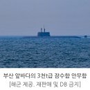 세계 각국의 잠수함 전력 이미지