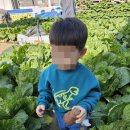 장안현대어린이집 이미지