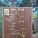 솔바람 물결소리 이미지