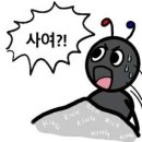 남산주공2 이미지