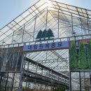 대림공판장 이미지