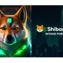 (주)이누 이미지