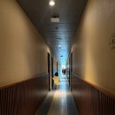 건대애플약국 | 세부여행 2일차 모알보알이동,파낙사마비치 스노쿨링