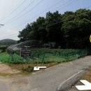 양사면-2 이미지