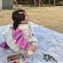 악양생태공원(숲속놀이터 옆) | 서울 북서울 꿈의 숲 리뉴얼 스팟 주차 정보 강북 아기랑 갈만한 곳 봄 벚꽃 나들이 핫플 추천 야외놀이터