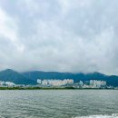 하단동1195 이미지