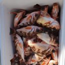 포항시남구장기면양포보건진료소 이미지