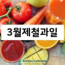 3월 제철과일 확인하세요~ 이미지