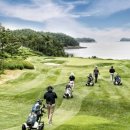 파인비치A 이미지