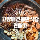 동헌로 | 고양스타필드 애견동반식당 고기도 맛있고 커피랑 운동장까지 있는 또간집 견애가 후기