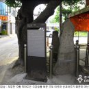 광주대교구 ＞ 영광 성당 : 영광 순교자 기념 성당 이미지