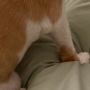 엘리키친 개금점 이미지