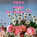 대지샾 네이버블로그