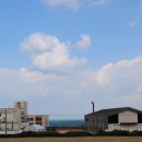 제주 삼양동 유적 | 제주 삼양동 유적