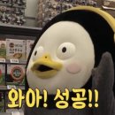 친환경마켓 이미지