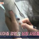 한국엘랑코동물약품(주) 이미지