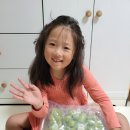 태인팜 이미지