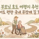 경기·강원 무장애 여행지 노약자 동반 여행 팁부터 데크로드·휠체어 정보까지 한 번에 정리