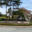 블루원보문컨트리클럽 | 경주 강동디아너스CC(구 블루원) 1박2일 골프 패키지 5월 요금 및 예약 가이드