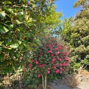 제주 삼달가옥 감성숙소 이미지