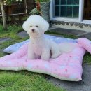 카라인 용품점 이미지