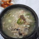 원샷실내마차