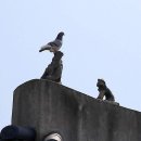위풍당당 - 청주시 흥덕구 | 위풍당당