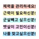 몸짱스쿨 이미지