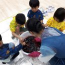 세중초교 병설유치원 이미지