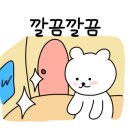 토미짐앤스파 이미지
