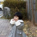 컬리수.모이몰른전주 이미지