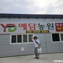 김창원농장 이미지