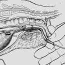 강앤정동물병원 이미지