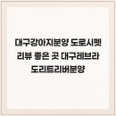 대구강아지분양 도로시펫 | 대구강아지분양 도로시펫 리뷰 좋은 곳 대구레브라도리트리버분양