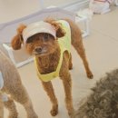 김구백이 이미지