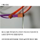 2023년 한해 송년회를 보내며..... 이미지