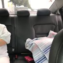 의정금오9 | 박근음의 고양이 방광결석 극복기 1탄