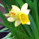 대자연한의원 이미지