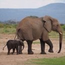 신은초교 이미지