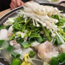 청주 고박사해물탕🍲 솔직후기