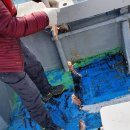 포항시남구장기면양포보건진료소 이미지