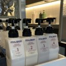 헤어큐(Q)미용실 | 잠실새내미용실 온리포유 큐 디자이너｜건조·부스스 손상모 GM리페어 클리닉 후기