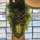 서초중앙로24길 41 (1) 이미지