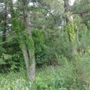 도순동-1 이미지