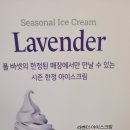 빈티지편집샵