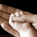 은평-019 이미지