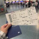 726 | [아시아나항공] 푸켓 -&gt; 인천 OZ726 A330 비즈니스 탑승후기(기내식, 주류, 라면)