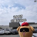 SG아름다운골프앤리조트 | 26.03 SG아름다운골프앤리조트